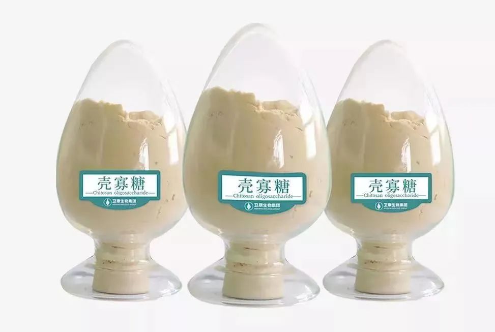 食用級殼寡糖對大腦有何幫助