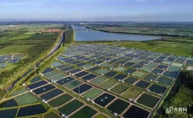 殼寡糖與農業(yè)和生態(tài)養(yǎng)殖